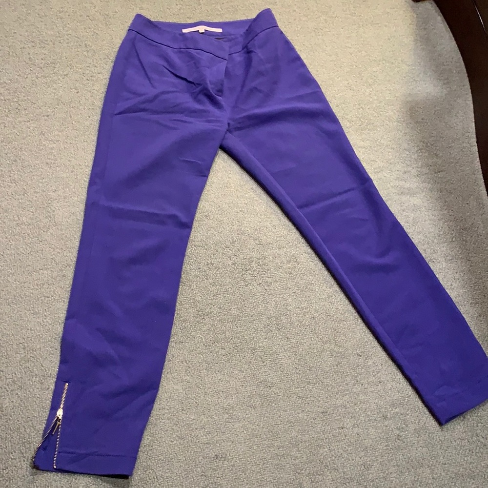 Royal Blue dress pants